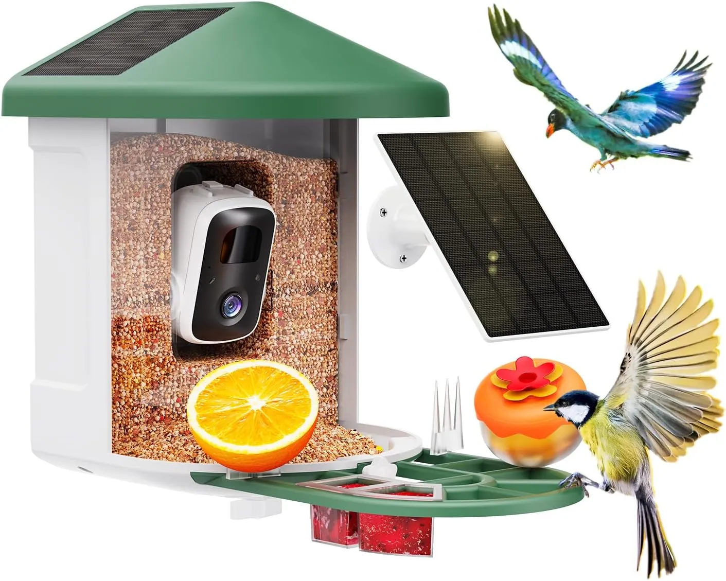 Smart Bird Feeder With Camera